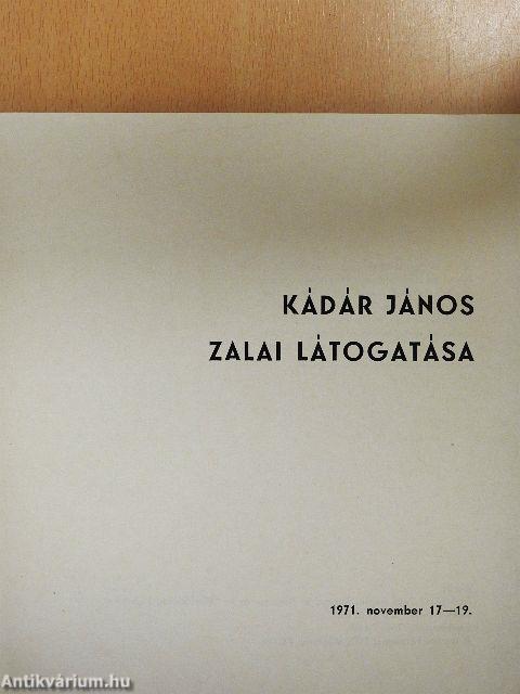 Zalai látogatás