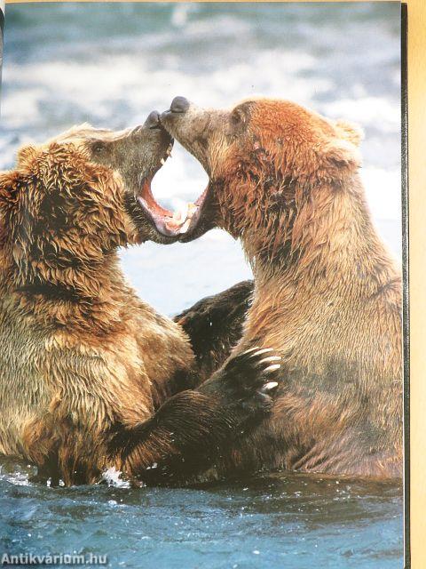 The Nature of America