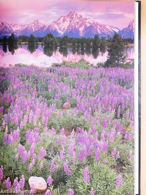 The Nature of America