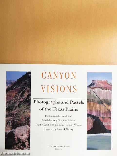 Canyon Visions