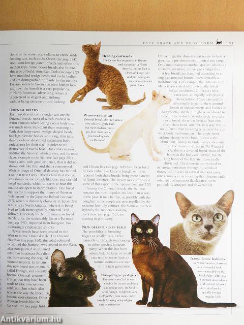 The Encyclopedia of the Cat
