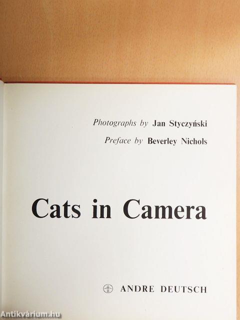 Cats in Camera