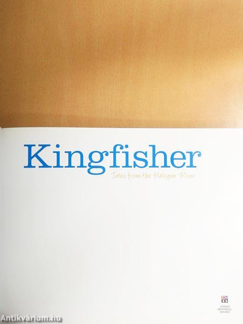 Kingfisher