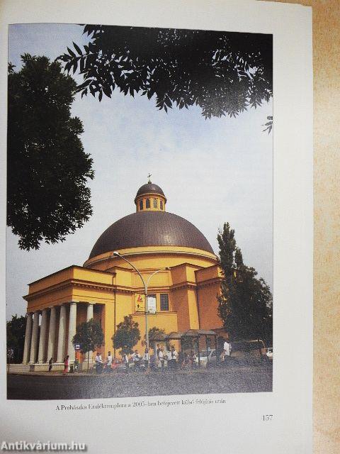 A Vasútvidék története