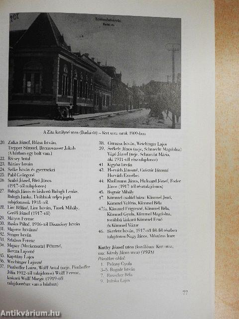 A Vasútvidék története