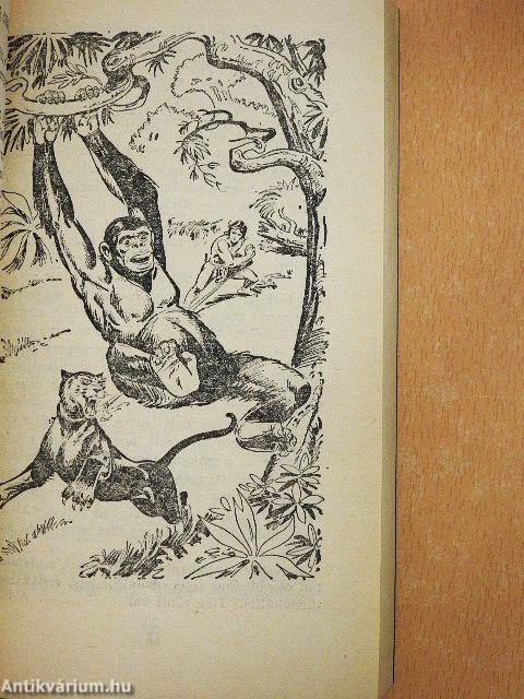 Tarzan dzsungeltörténetei