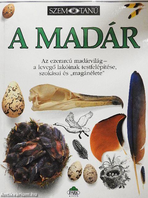 A madár
