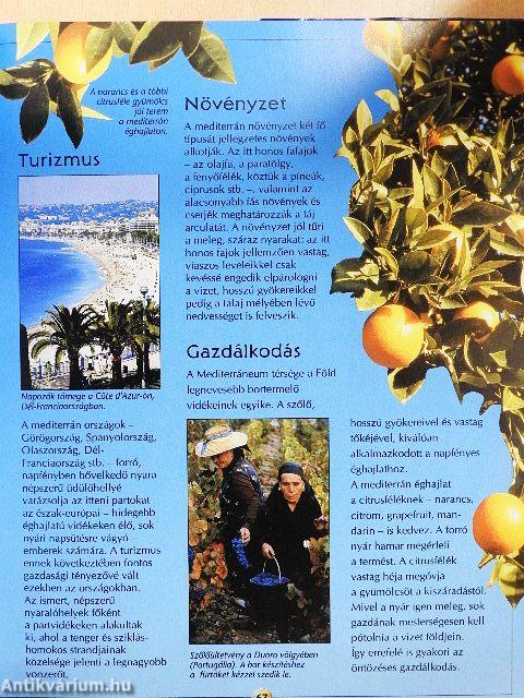 A Föld enciklopédiája