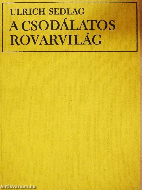 A csodálatos rovarvilág