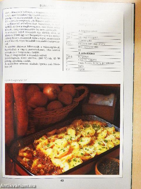 99 egytálétel 33 színes ételfotóval