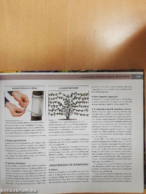 Kertészkedés hónapról hónapra