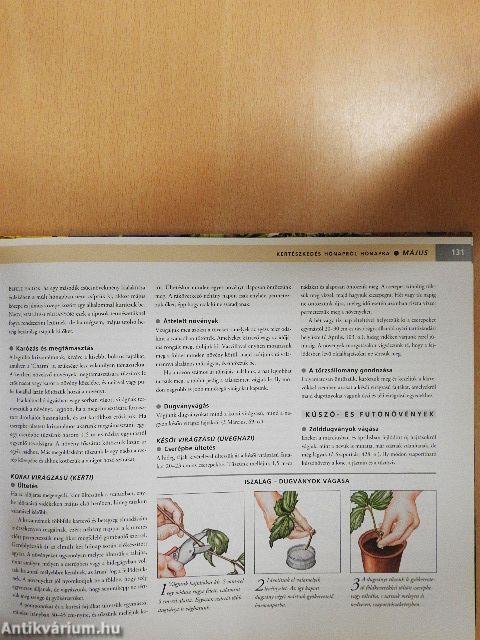 Kertészkedés hónapról hónapra