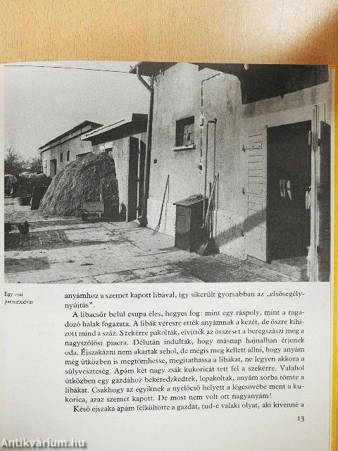 Terülj, asztalkám!