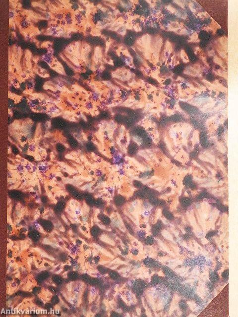 Kinder-Übungen und Melodien