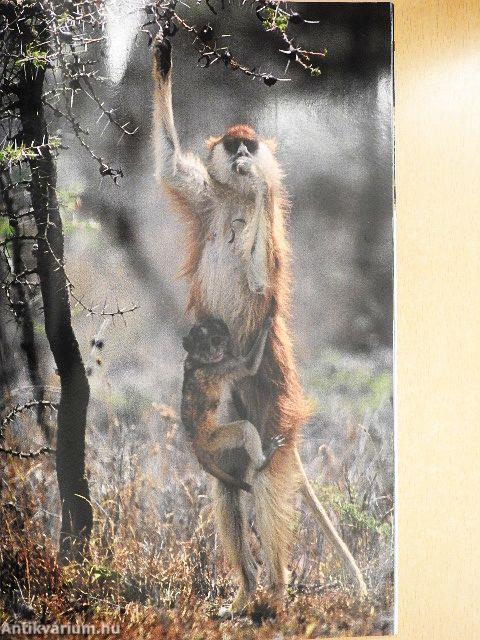 National Geographic February 2004