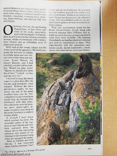 National Geographic November 1987