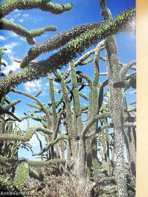 National Geographic February 1987