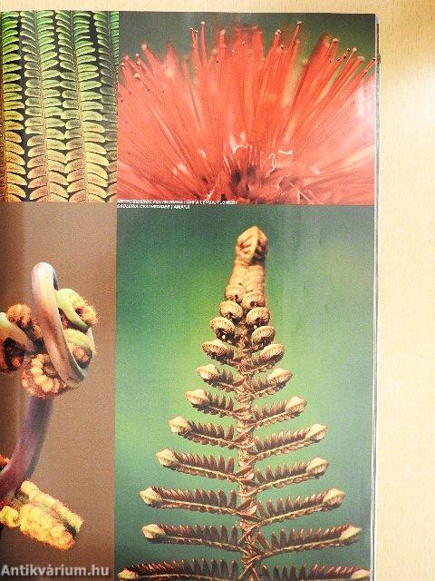 National Geographic October 2004