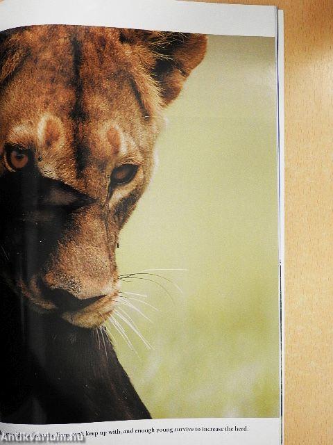 National Geographic September 2006