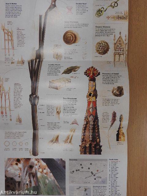 National Geographic December 2010