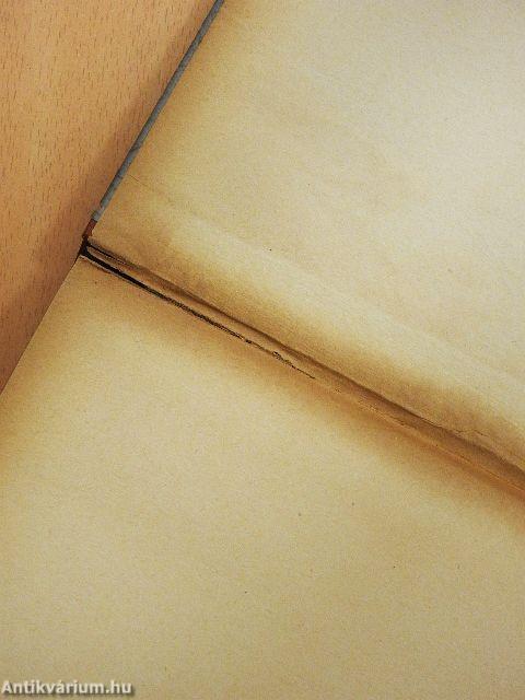 Asszony az országúton