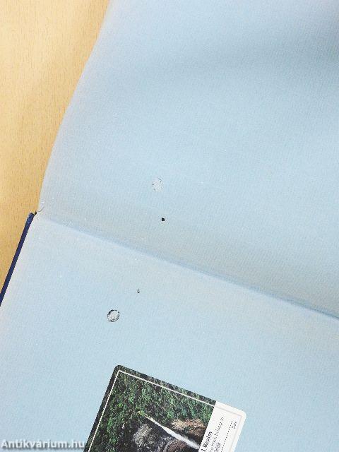 The story of America