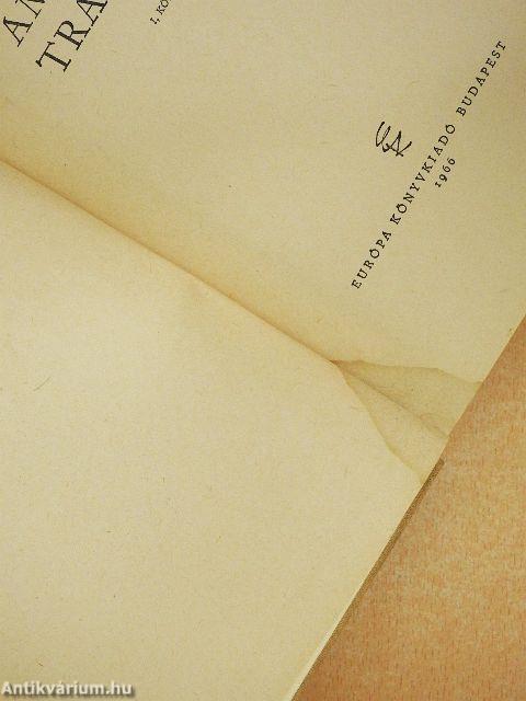 Amerikai tragédia I-II.