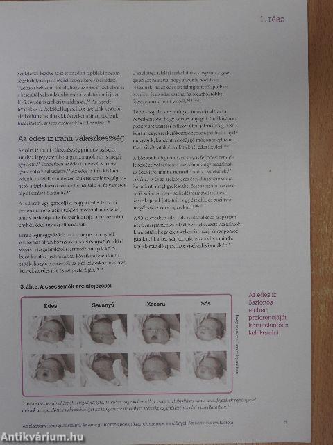 Az alacsony energiatartalmú és energiamentes édesítőszerek szerepe és előnyei