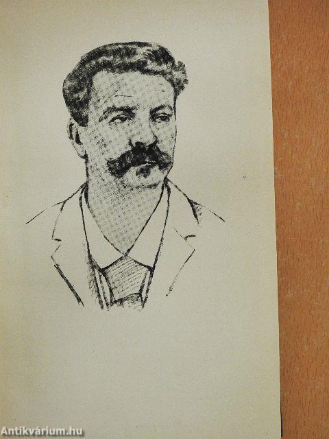 Maupassant válogatott novellái I-II.