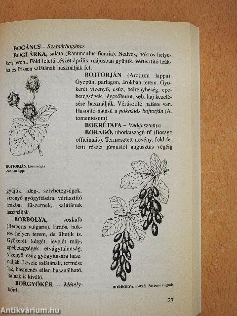 Fűben-fában orvosság