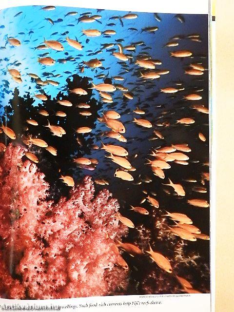 National Geographic November 2004