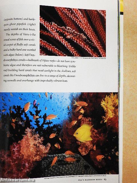 National Geographic November 2004