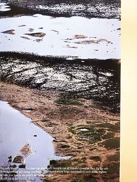 National Geographic March 2001