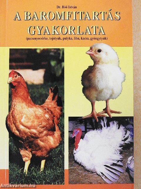 A baromfitartás gyakorlata
