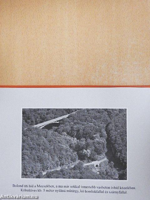 Boltozott hidak a Kárpát-medencében