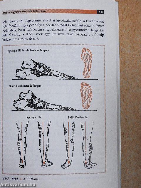 Gyermekláb-gyermekcipő