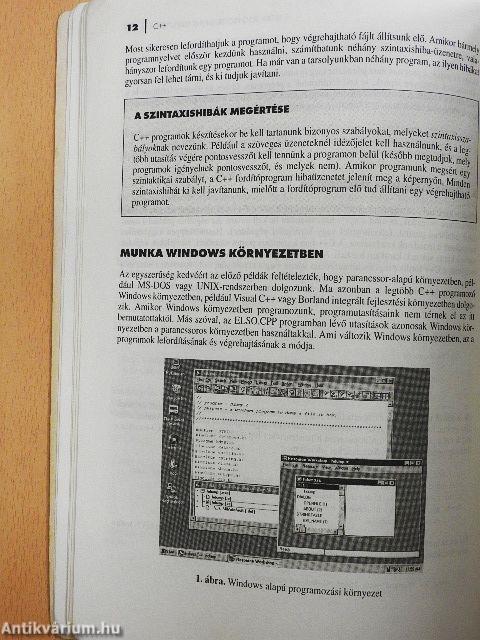 C++