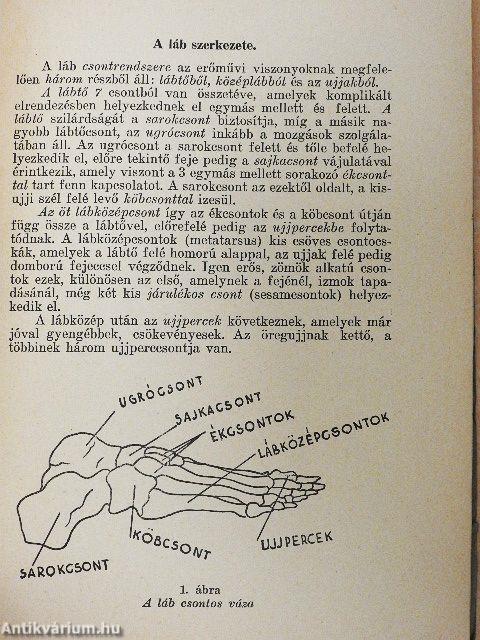 Ludtalp, bokasüllyedés és egyéb lábfájdalmak megelőzése és gyógyítása