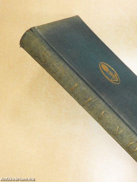 Magyar Horatius/Horatius Noster