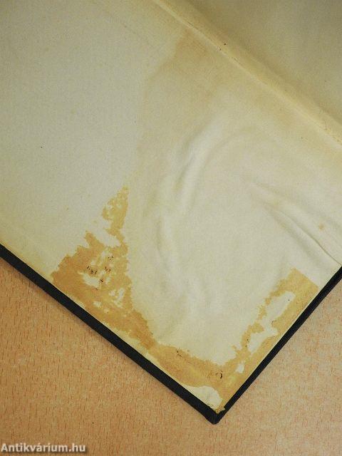 Magyar Horatius/Horatius Noster