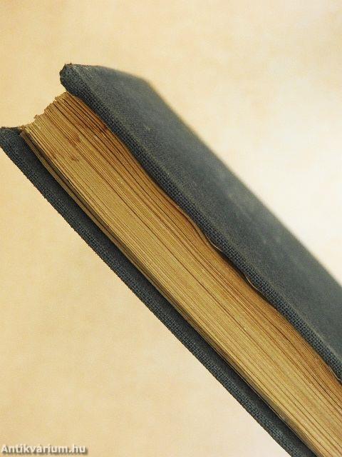 Magyar Horatius/Horatius Noster