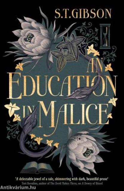 An Education in Malice: the sizzling and addictive dark academia romance everyone is talking about