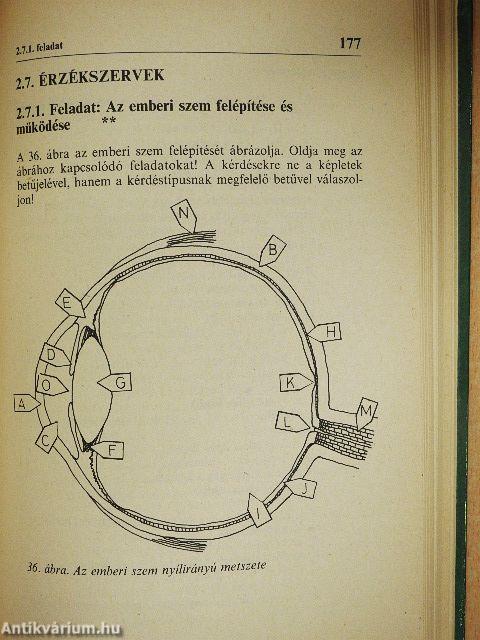 Biológiai fejtörő