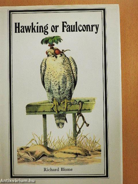 Hawking or Faulconry