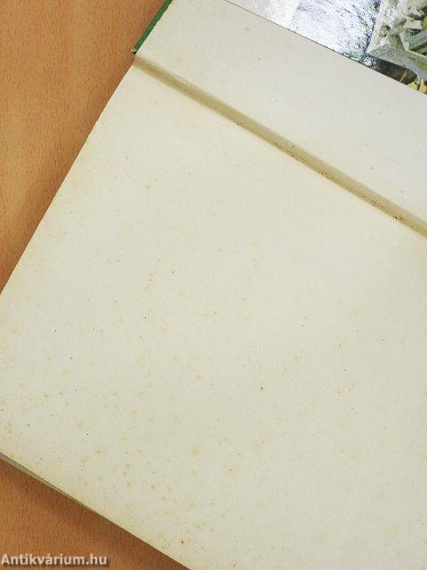 Fiúk Évkönyve 1972