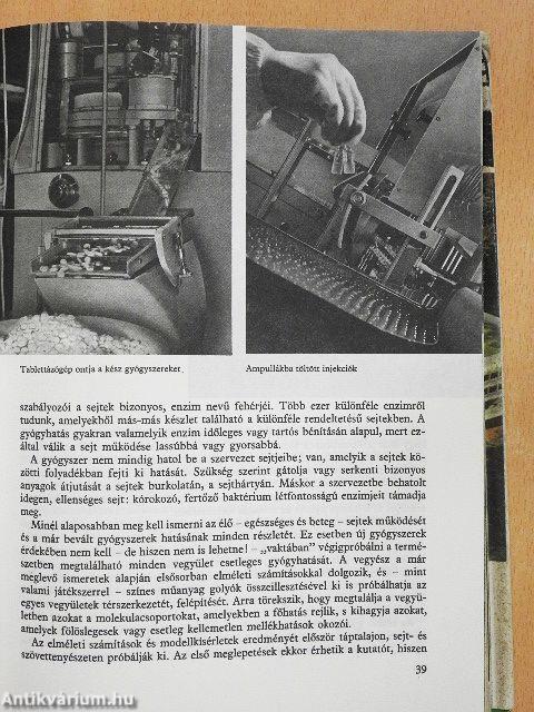 Fiúk Évkönyve 1972