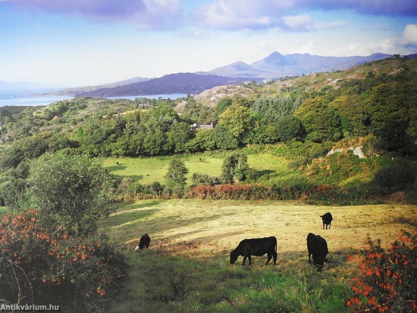 Spectacular Ireland