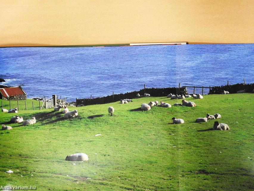 Spectacular Ireland