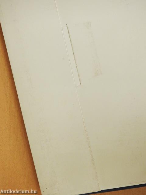 A Nekcsei-Biblia legszebb lapjai