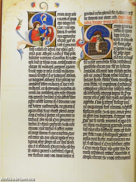 A Nekcsei-Biblia legszebb lapjai